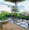 Bán Nhà MT Nguyễn Minh Hoàng Khu K300 Q.Tân Bình - 10x22m Hầm 3 tầng giá chỉ 54 tỷ.