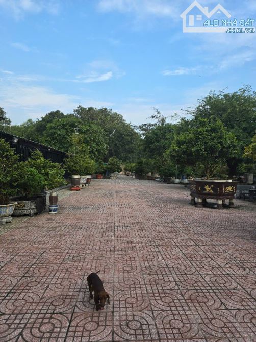 3000m nhà vườn tại phú hội nhơn trạch
