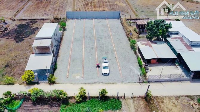 Đất nền SHR giáp Vin Hậu Nghĩa  Đức Hoà, DT  6 x  42 giá  1tỷ260