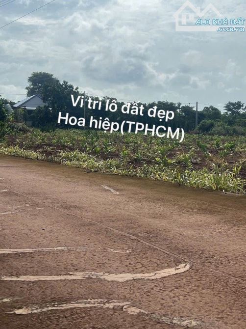 Bán lô đất đường xe hơi 329, xã Hoà Hiệp, Xuyên Mộc, Vũng Tàu - TP. HCM