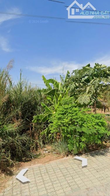 Bán lô đất đường Trần Quang Quờn, Xã Bình Khánh, Cần Giờ