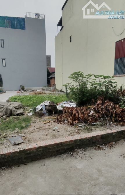 SIÊU HÓT-MẢNH ĐẤT ĐẸP– MAI LÂM-ĐÔNG ANH-DT55M2, MT 4.4M-8.33TỶ CÓ THƯƠNG LƯỢNG