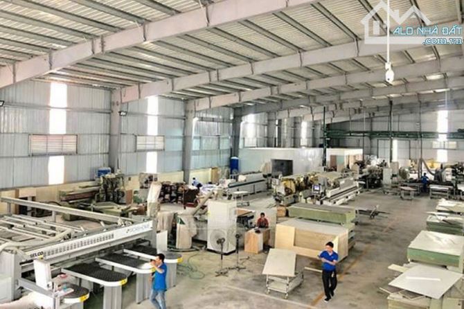 Bán xưởng gỗ rộng gần 2.000m2. MẶT TIỀN QL80 Châu Thành, Đồng Tháp.