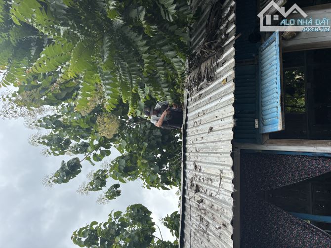 🏞 SANG NHƯỢNG 981.000m² ĐẤT ĐỒI – VIEW SÔNG NƯỚC & ĐÈN THÔN XÓM 📍 Xã La Ngà, Huyện Đ