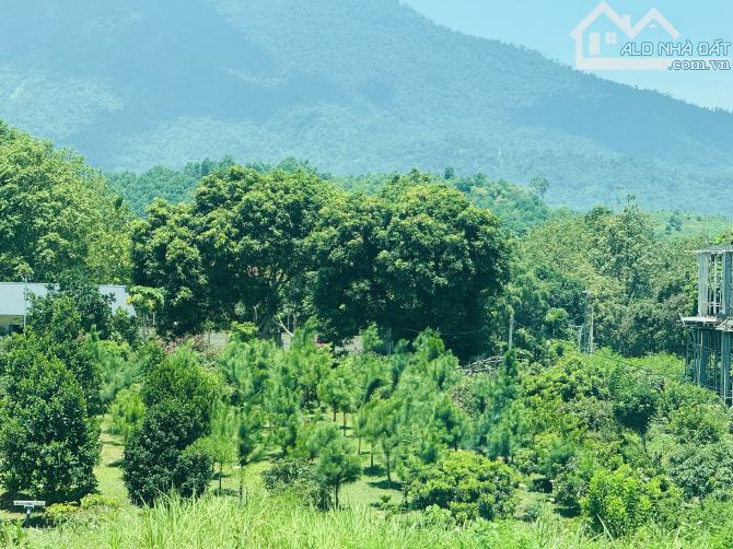 1000M2 (20X50M) 7 TỶ VIEW CAO ĐẸP THOÁNG CẦN BÁN