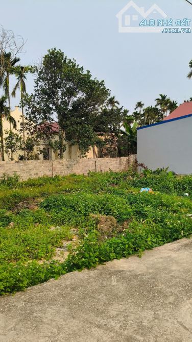 Bán lô đất Minh Kha - Đồng Thái - An Dương  ✅ Diện tích 50,8m. Ngang : 4,1m ⚡️Hướng Tây ⚡️