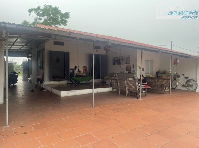 Chuyển nhượng trang trại 2500m2 tại Đông Mỹ, Thanh Trì, giá 1.59 tỷ