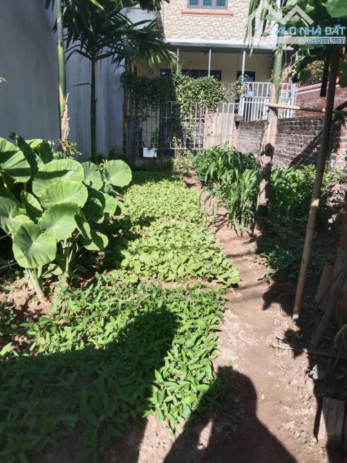 CHÍNH CHỦ GỬI BÁN GẤP LÔ ĐẤT 49M LÔ GÓC, BẾN TRẰM ĐỒNG MAI ÔTÔ NGỦ TRONG ĐẤT, GIÁ SIÊU RẺ