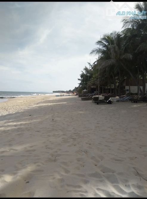💥Bán lô đất mặt tiền đường Nguyễn Đình Chiểu - phường Mũi Né - Phan Thiết - 5