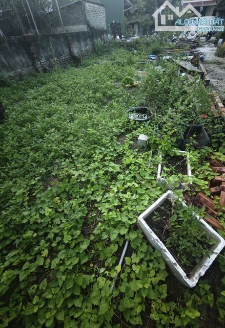 Bán đất Đông Mỹ, Thanh Trì 85m2, ô tô vào đất, giá 4,9 tỷ - 1