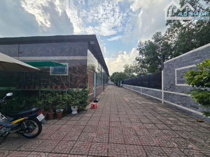 3000m nhà vườn tại phú hội nhơn trạch - 1