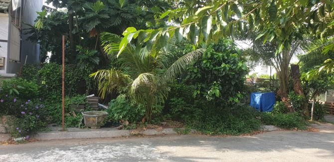 Bán lô đất nền nhà phố khu Tam Đa - Trường Thạnh - Thành phố Thủ Đức. Sổ hồng giá rẻ - 1