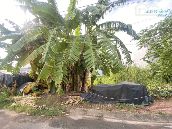 ĐẤT PHÂN LÔ ĐƯỜNG BƯNG ÔNG THOÀN - SÁT KHU CÔNV NGHỆ CAO - 60M2 - ĐƯỜNG 8M - NHỈNH 4 TY - 1