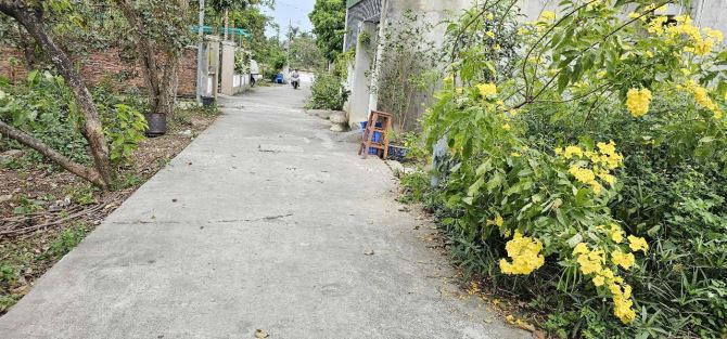 Chỉ 899 triệu sở hữu ngay lô đất ô tô đỗ cửa tại Cam Lộ - 1