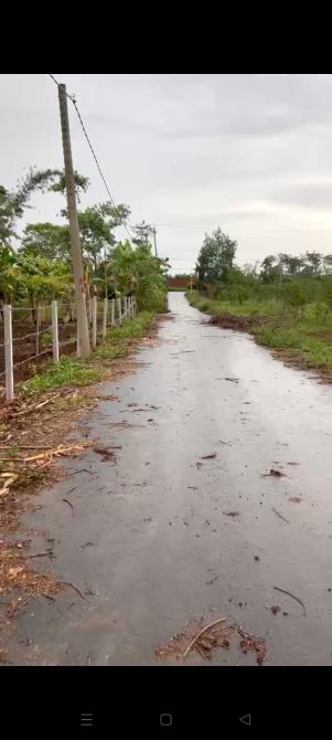 2sao8 đường nhựa, đất đẹp, giá 680tr/sào - 1