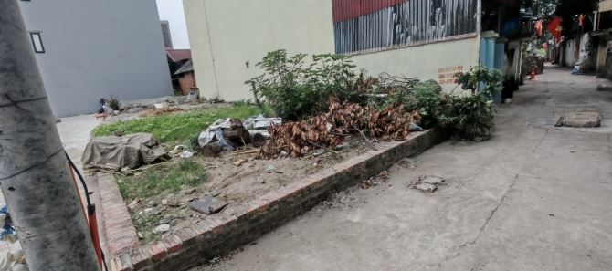 SIÊU HÓT-MẢNH ĐẤT ĐẸP– MAI LÂM-ĐÔNG ANH-DT55M2, MT 4.4M-8.33TỶ CÓ THƯƠNG LƯỢNG - 1