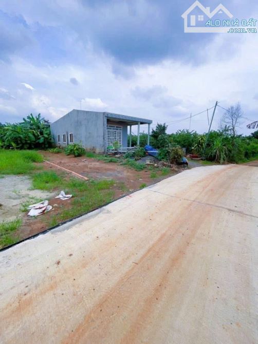D262 Hàng thơm giá đầu tư. Siêu vip  🆘 BÁN ĐẤT XÃ THANH BÌNH TRẢNG BOM  Chỉ 5,8tr/1m2 quá - 1