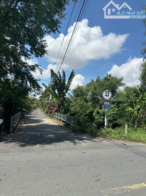 Bán 4545m2 Đất Mặt Tiền Nhựa 4m Mặt Tiền Đất 96m Dài 43m .Ấp Bình Phong, Xã Tân Mỹ Chánh - 1