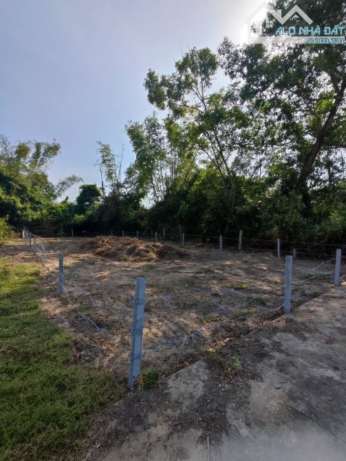 Bán gấp đất 260m² Điện Bàn Bắc, giá 1,8 tỷ, rẻ hơn thị trường,chính chủ, pháp lý đầy đủ - 1