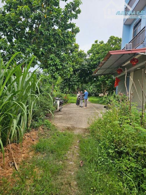 Bán đất Giãn Dân Lãm Trại, Vân Dương, Mt 8.6m Dt 167m2 Hướng ĐB, giá 5.3 tỷ - 1