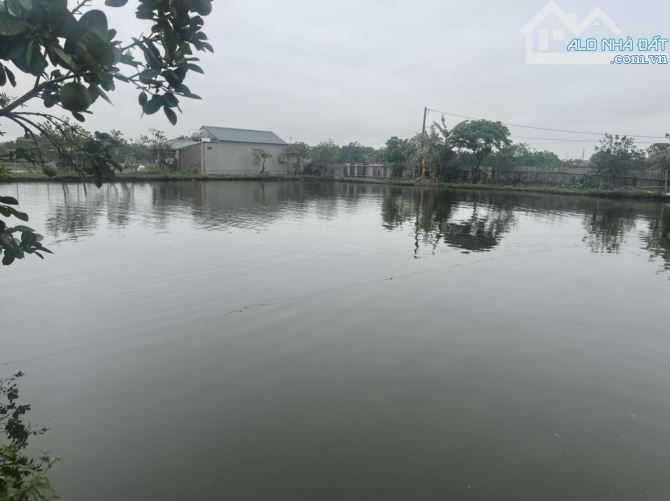 Chuyển nhượng trang trại 2500m2 tại Đông Mỹ, Thanh Trì, giá 1.59 tỷ - 1