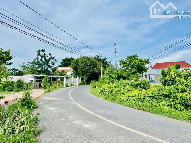 3,5 sào(3500m2) biển phước hải-phủ hồng toàn bộ , cách tlo 44B khoảng 300m-giá 2tr/m2 - 1