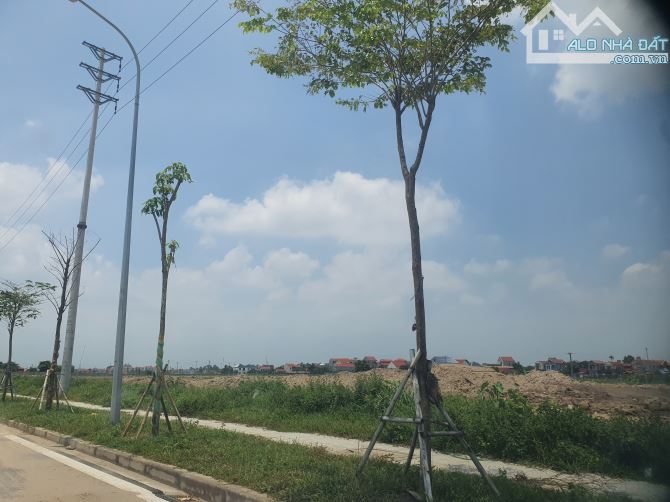 Công ty cần bán 4,3 ha đất sản xuất gần đường cao tốc Hưng yên-thái Bình chỉ 2,7 triệu/m² - 1