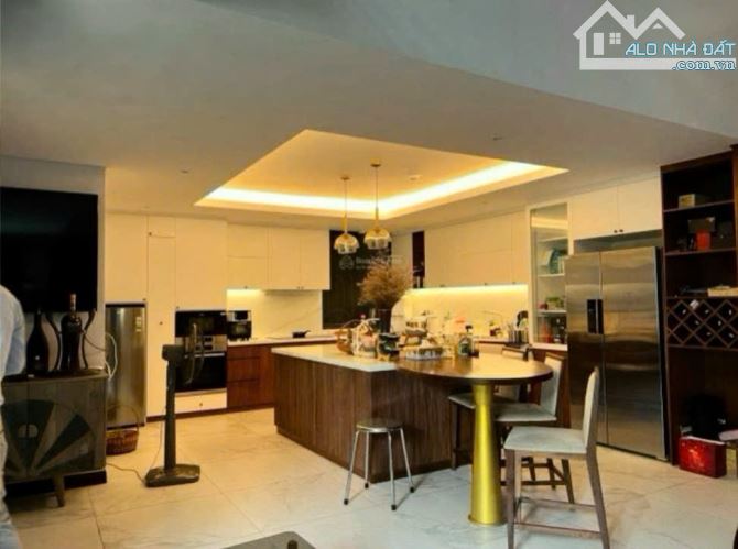 Biệt thự sang trọng đường Trần Khắc Chân, Quận 1, kết  hầm 7 tầng có hồ bơi nội thất có gu - 2