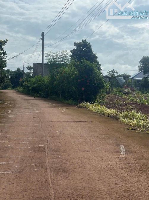 Bán lô đất đường xe hơi 329, xã Hoà Hiệp, Xuyên Mộc, Vũng Tàu - TP. HCM - 2