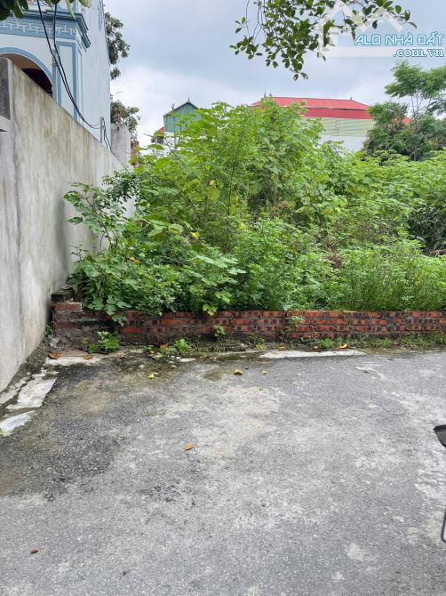 🎯 CƠ HỘI SỞ HỮU LÔ ĐẤT VÀNG TẠI ĐÔNG ANH – GIÁ CHỈ NHỈNH 4 TỶ! - 2