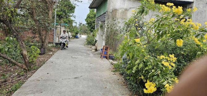 Chỉ 899 triệu sở hữu ngay lô đất ô tô đỗ cửa tại Cam Lộ - 2