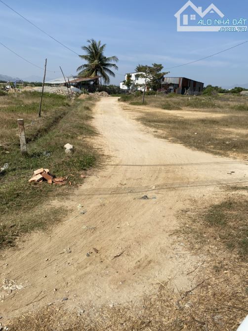Cần bán đất nông nghiệp giá rẻ.gần tp phan rang-tháp chàm.ninh thuan - 2