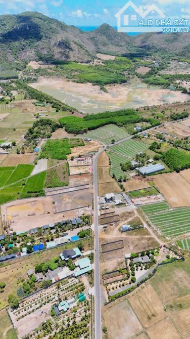 Bán 532m khu cánh đồng gió phước hải - 2