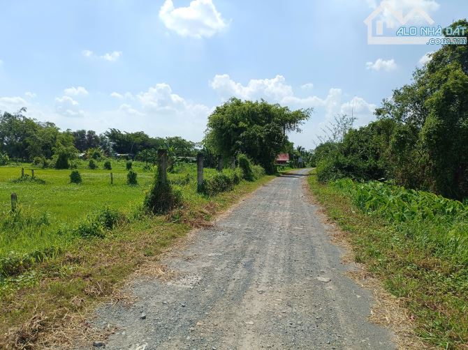 Bán Đất Mặt Tiền Kênh Đá Hàn Xã Bình Mỹ, Củ Chi, Gần Vành Đai 3, Giá Chỉ 4 Triệu/m² - 2