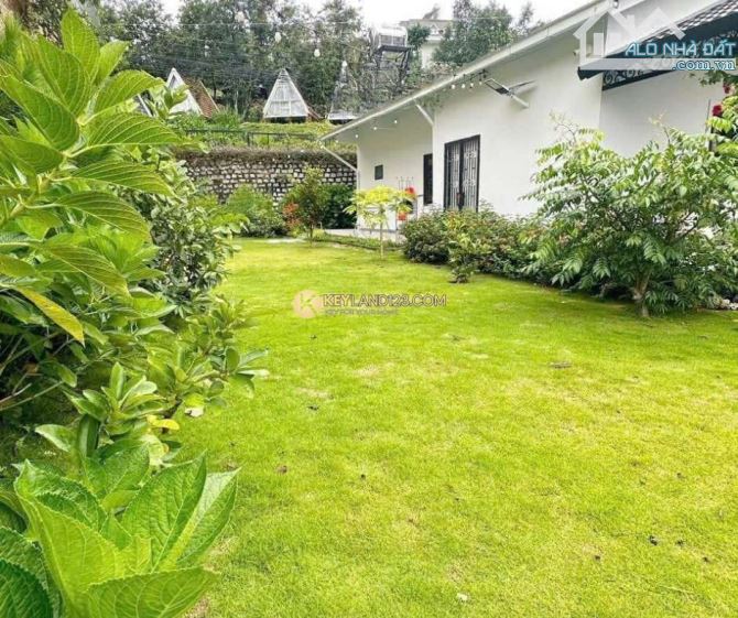 ‼️37 TỶ - VILLA SÂN VƯỜN 2 MẶT TIỀN AN BÌNH - 502m²- CÁCH TT ĐL CHỈ 1KM - 7PN NGANG 27‼️ - 2