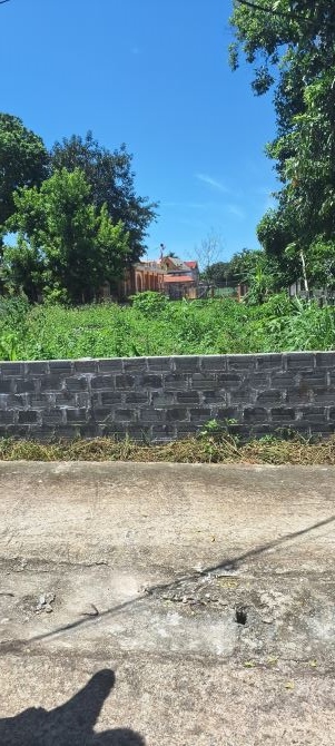 Bán đất Ké mới, Tản Lĩnh, Suối Hai, 409m, oto tránh, gần TL, vườn QG Ba Vì, 2.1tỷ - 2