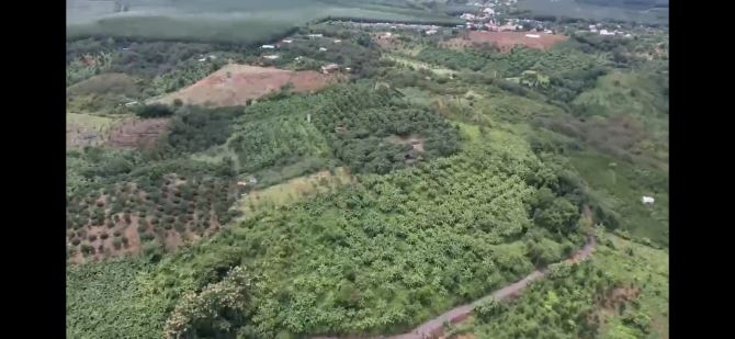 🏞 SANG NHƯỢNG 981.000m² ĐẤT ĐỒI – VIEW SÔNG NƯỚC & ĐÈN THÔN XÓM 📍 Xã La Ngà, Huyện Đ - 2