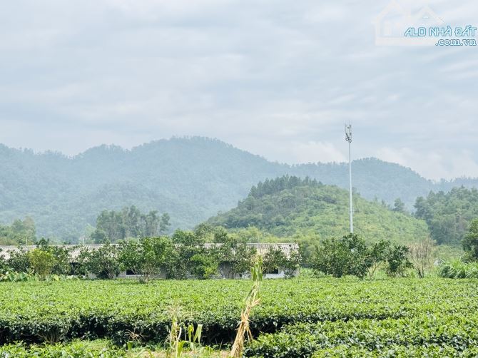 1000M2 (20X50M) 7 TỶ VIEW CAO ĐẸP THOÁNG CẦN BÁN - 2