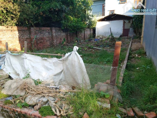 Bán lô đất 100m2 đường Kim Quy,Thôn Bầu, Thiên Lộc,gần Ô tô, trục Kinh doanh ngày đêm - 2