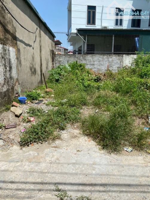 Bán 232m2 đất mặt đường Lưu Phái - Thanh Trì, ô tô tránh, kinh doanh, Siêu hiếm - 2