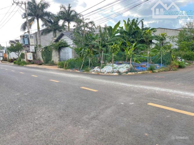 💥Đất TC 5*11m,có lô Góc,Đường A5,Phạm Ngũ Lão,nhiều lô bên trong - 2