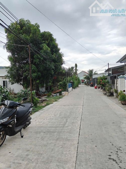 Bán lô đất xây biệt thự - mặt tiền đường Xuân Lạc - Vĩnh Ngọc. Giá 5 tỷ 100 - 2