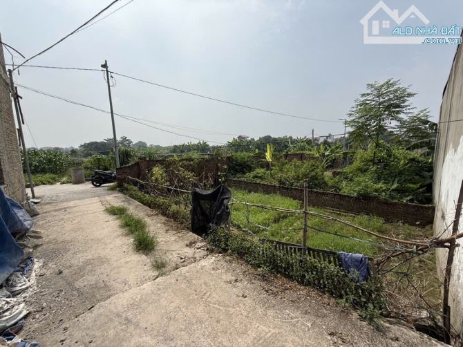 Bán đất Đặng Xá - Gia Lâm, siêu phẩm lô góc đẹp, ô tô phi vèo vèo - 2