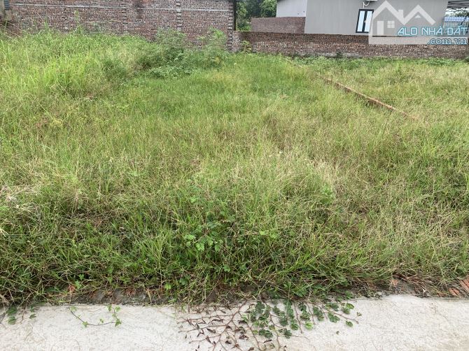 Bán Đất – Xã Minh Phú (Sóc Sơn) – 100M² – 2,35 Tỷ – Full Thổ Cư – Ô Tô Tránh, Đường Thông - 3