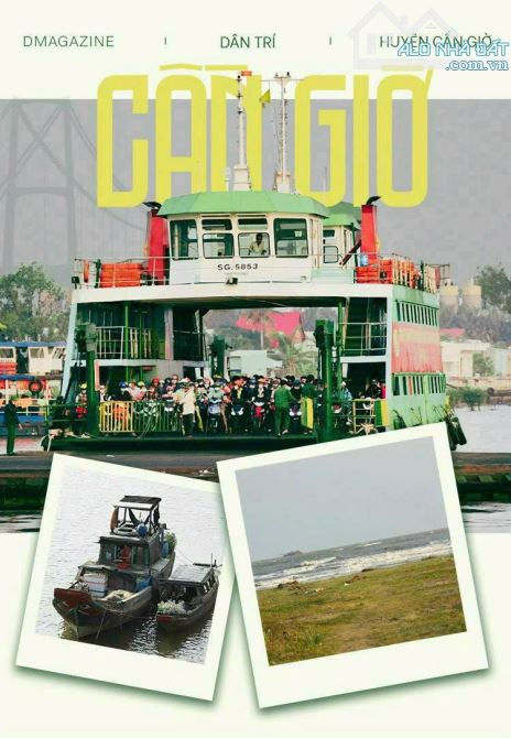 Bán lô đất đường Trần Quang Quờn, Xã Bình Khánh, Cần Giờ - 3
