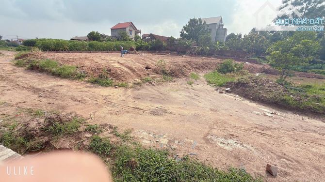 TIỀN ÍT THỊT  NHIỀU CỨ ALO E THỊNH - DT 655 M CÓ 455M ĐẤT TRONG SỔ CÒN 200 M GIÁ CHỈ CÓ - 3