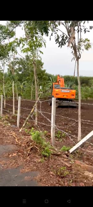 2sao8 đường nhựa, đất đẹp, giá 680tr/sào - 3