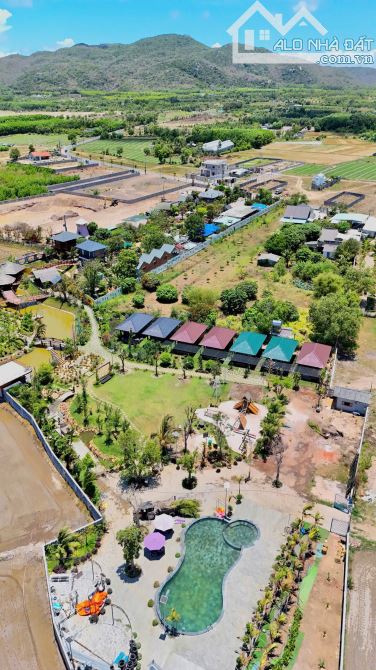 Bán 532m khu cánh đồng gió phước hải - 3