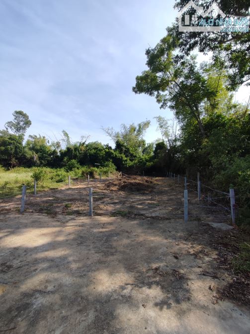 Bán gấp đất 260m² Điện Bàn Bắc, giá 1,8 tỷ, rẻ hơn thị trường,chính chủ, pháp lý đầy đủ - 3