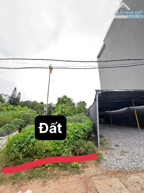 Bán ô đất 72m2 khu đấu giá Lăng Cẩm- Gia Cẩm - 3